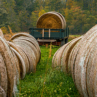 Buy canvas prints of Autumn Harvest - Needle in a haystack by Blok Photo 