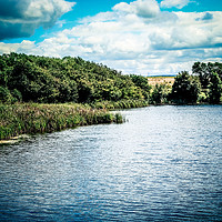 Buy canvas prints of Lake at Cowpen Bewley Woods, Teeside by Mark Ambrose