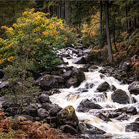 Buy canvas prints of Scottish River tumbling over rocks by Roger Daniel