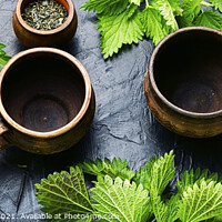 Buy canvas prints of Herbal tea with nettle by Mykola Lunov Mykola