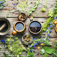 Buy canvas prints of Herbal flower tea and plants by Mykola Lunov Mykola