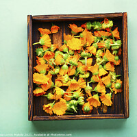 Buy canvas prints of Marigold flowers or calendula,Chinese herbal medicine by Mykola Lunov Mykola