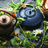 Buy canvas prints of Teapot with fresh medicinal herbs by Mykola Lunov Mykola