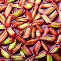 Buy canvas prints of Yummy pie with rhubarb and raspberries,food backgr by Mykola Lunov Mykola