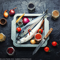 Buy canvas prints of Fresh, raw mackerel fish by Mykola Lunov Mykola