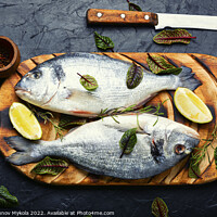Buy canvas prints of Dorado is a healthy and tasty fish. by Mykola Lunov Mykola
