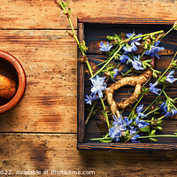 Buy canvas prints of Chicory root, weed by Mykola Lunov Mykola