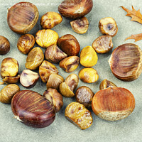 Buy canvas prints of Roasted peeled chestnuts,close up by Mykola Lunov Mykola
