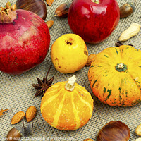 Buy canvas prints of Autumn food, pumpkins and nuts. by Mykola Lunov Mykola