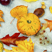 Buy canvas prints of Herbarium of autumn leaves. by Mykola Lunov Mykola