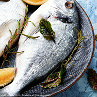 Buy canvas prints of Cooking dorado fish. by Mykola Lunov Mykola