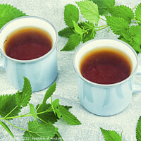 Buy canvas prints of Medicinal herbal tea. by Mykola Lunov Mykola