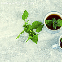 Buy canvas prints of Herbal tea, healing drink, space for text by Mykola Lunov Mykola
