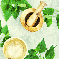 Buy canvas prints of Fresh nettle leaves,herbal medicine. by Mykola Lunov Mykola