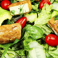 Buy canvas prints of Fresh salad of fried tofu and fresh vegetables. by Mykola Lunov Mykola