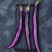 Buy canvas prints of Small purple Asian eggplants, aubergine by Mykola Lunov Mykola