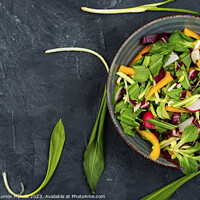 Buy canvas prints of Vegetable vitamin salad with wild garlic by Mykola Lunov Mykola