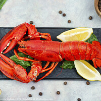 Buy canvas prints of Whole red lobster with fresh herbs by Mykola Lunov Mykola