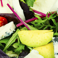 Buy canvas prints of Fresh vegetable salad with cheese by Mykola Lunov Mykola