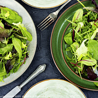 Buy canvas prints of Greens raw salad, healthy eating. by Mykola Lunov Mykola