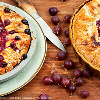 Buy canvas prints of Homemade berry pie. by Mykola Lunov Mykola