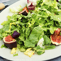 Buy canvas prints of Salad with figs, herbs and cheese. by Mykola Lunov Mykola