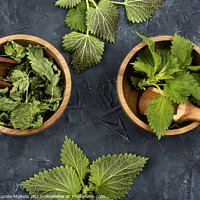 Buy canvas prints of Fresh and dry nettle or urtica in wooden mortar by Mykola Lunov Mykola
