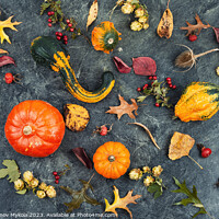 Buy canvas prints of Autumn pumpkins, autumn harvest. by Mykola Lunov Mykola