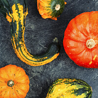 Buy canvas prints of Autumn still life with pumpkins by Mykola Lunov Mykola