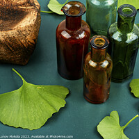 Buy canvas prints of Ginkgo biloba leaves, homeopathy concept by Mykola Lunov Mykola