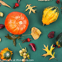 Buy canvas prints of Autumn herbarium and pumpkins by Mykola Lunov Mykola