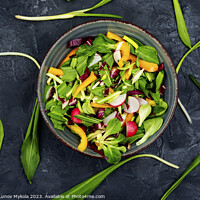 Buy canvas prints of Green vegan salad by Mykola Lunov Mykola