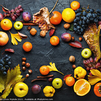Buy canvas prints of Harvest of autumn fruits by Mykola Lunov Mykola