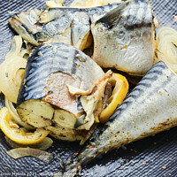Buy canvas prints of Delicious steamed mackerel,close up by Mykola Lunov Mykola