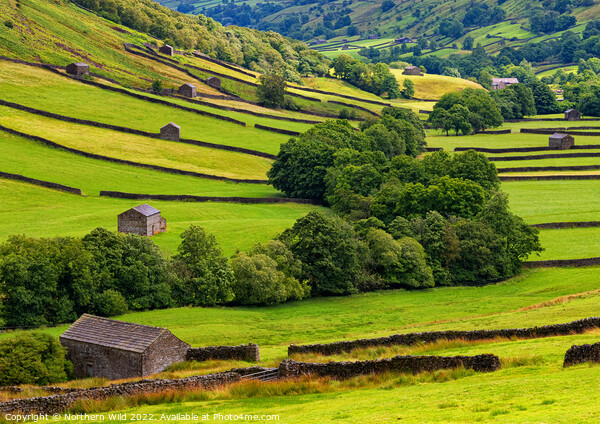 Rolling Hills of Swaledale Picture Board by Northern Wild