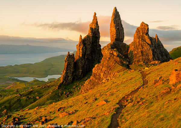 Morning Glow Over Old Man of Storr Picture Board by Northern Wild