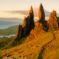 Buy canvas prints of Morning Glow Over Old Man of Storr by Northern Wild