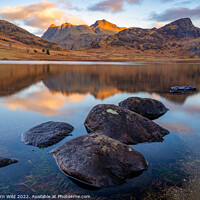 Buy canvas prints of Alpine Glow over the Great Langdales by Northern Wild
