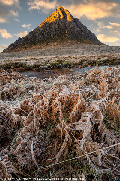 Icy  Buachaille Etve Mor Picture Board by Northern Wild