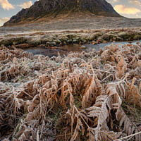 Buy canvas prints of Icy  Buachaille Etve Mor by Northern Wild