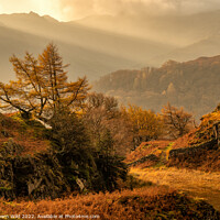 Buy canvas prints of Borrowdale Rays by Northern Wild