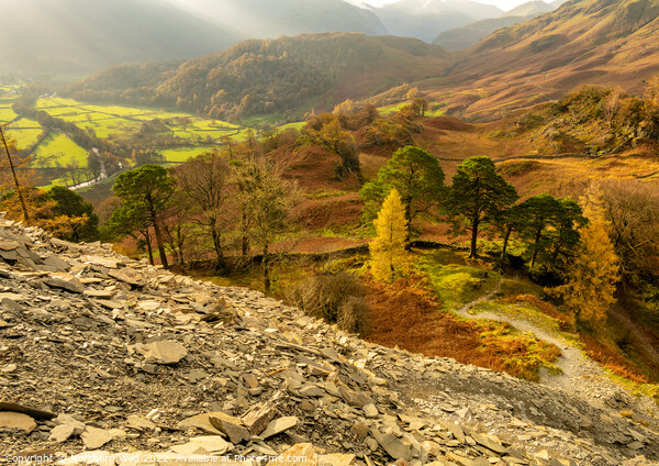 Misty autumnal Borrowdale  Picture Board by Northern Wild