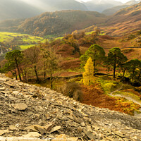 Buy canvas prints of Misty autumnal Borrowdale  by Northern Wild