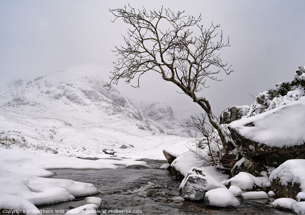 Winter Glenco Scottish Highlands Picture Board by Northern Wild