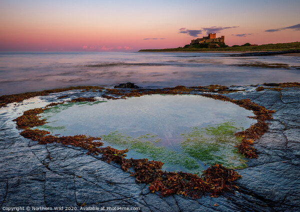 Bamburgh Rockpool Northumberland Picture Board by Northern Wild