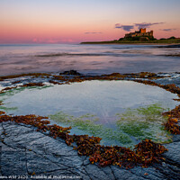 Buy canvas prints of Bamburgh Rockpool Northumberland by Northern Wild