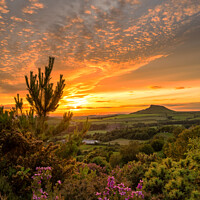 Buy canvas prints of Roseberry Topping sunset by Northern Wild