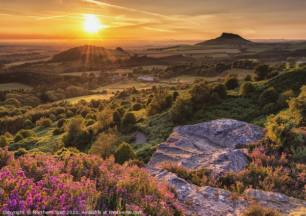 Roseberry Topping sunset Picture Board by Northern Wild