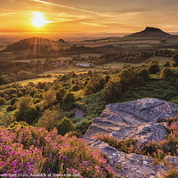 Buy canvas prints of Roseberry Topping sunset by Northern Wild