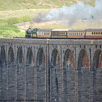 Buy canvas prints of Steam train Braunton on Ribblesdale Viaduct by chris hyde